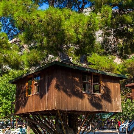 Готель Gorge Club Saklikent Номер фото