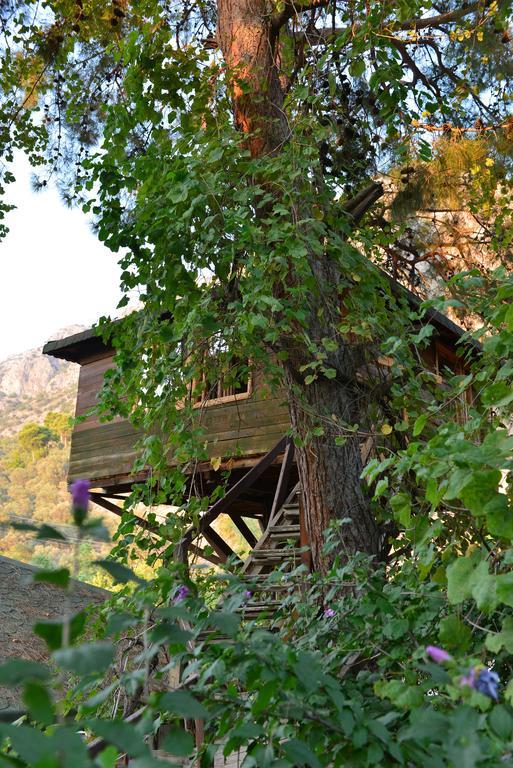 Готель Gorge Club Saklikent Номер фото